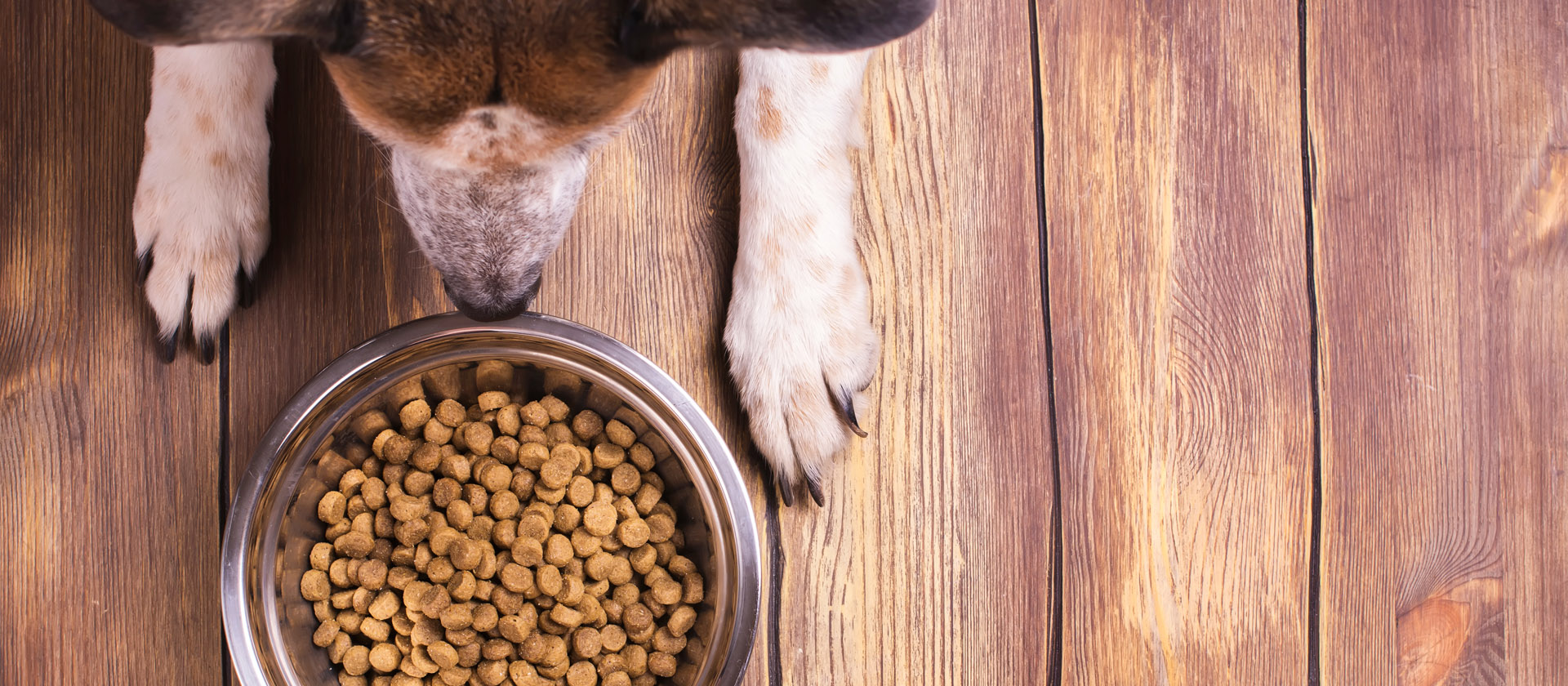 Pet Food