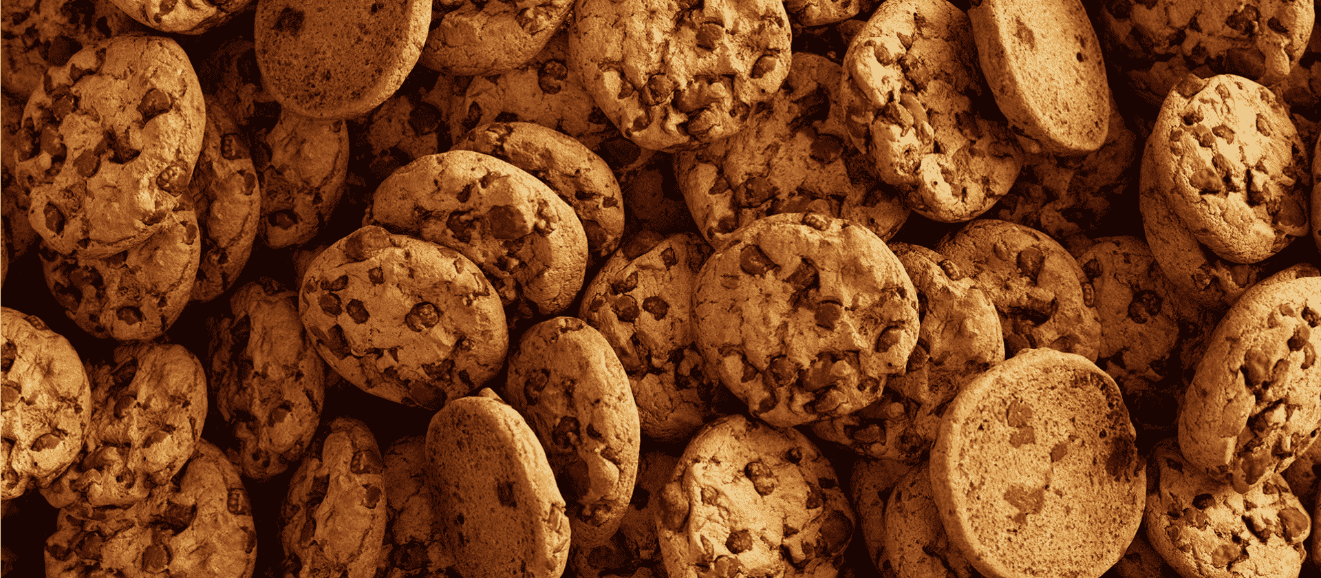 biscuit manufacturing
